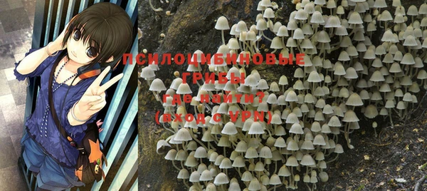 apvp Пестово
